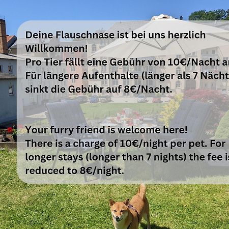 Hw3 - Urlaubsmagie - Helle, Grosse Wohnung Mit Pool Sebnitz Kültér fotó