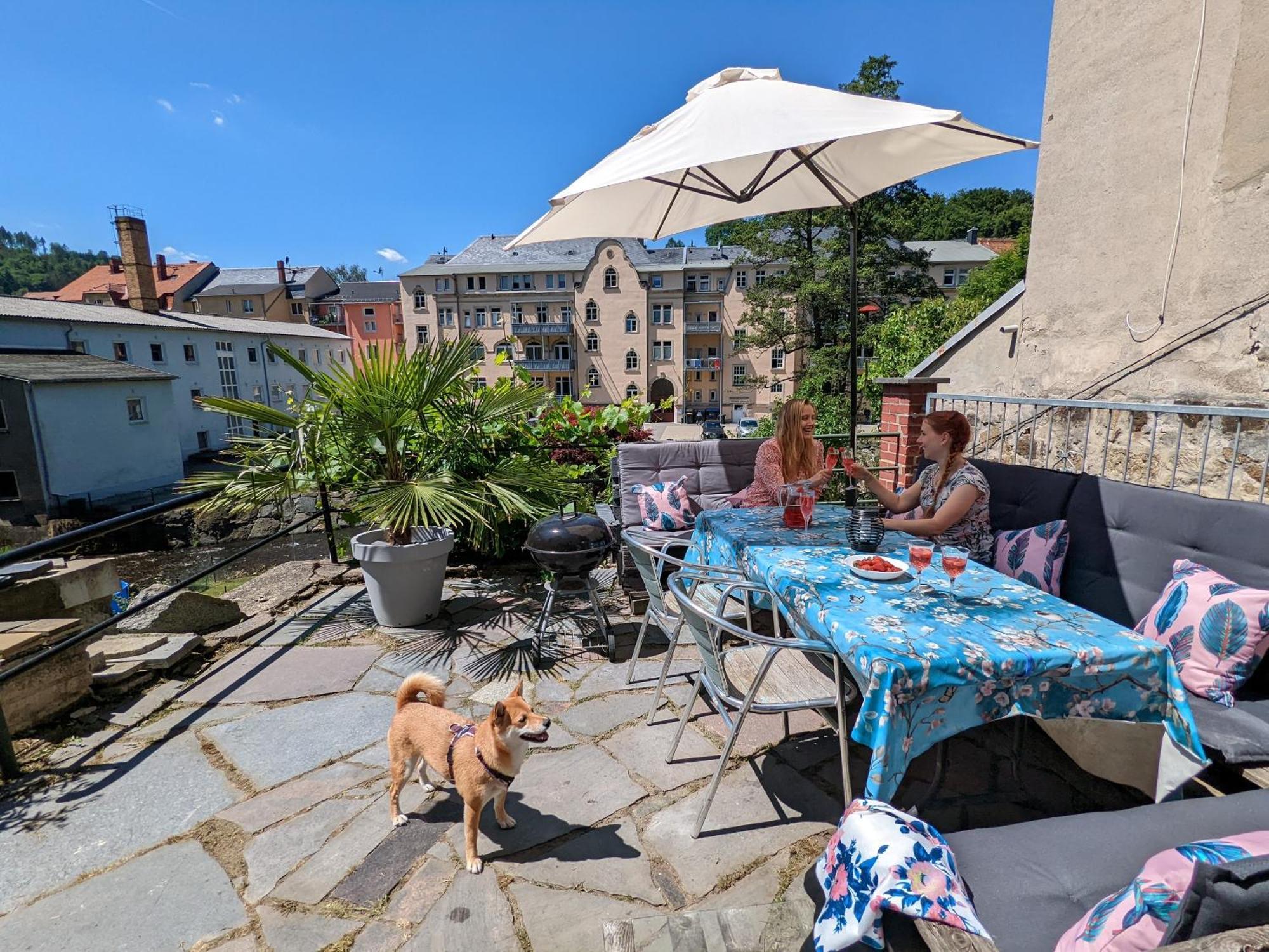 Hw3 - Urlaubsmagie - Helle, Grosse Wohnung Mit Pool Sebnitz Kültér fotó
