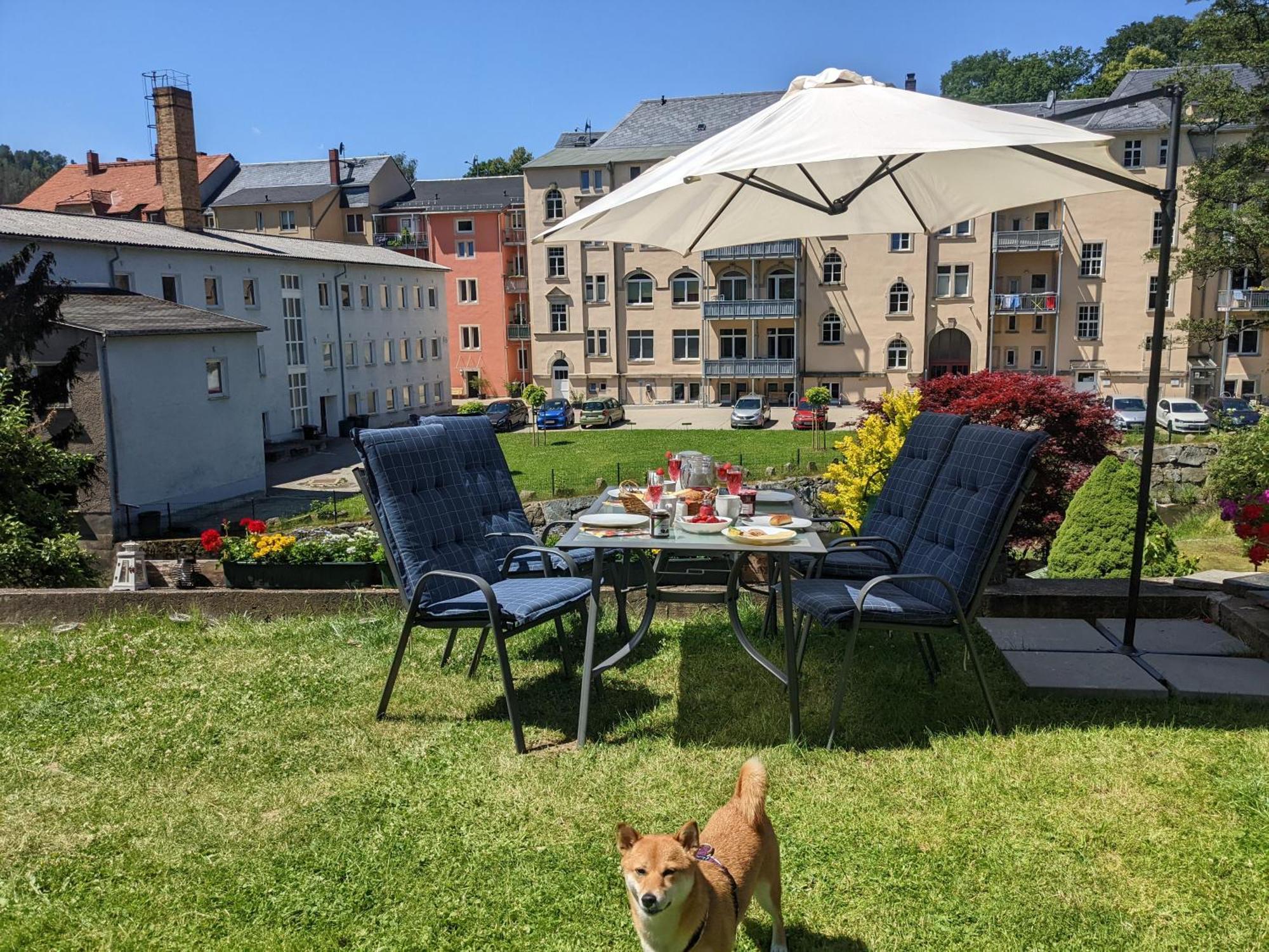 Hw3 - Urlaubsmagie - Helle, Grosse Wohnung Mit Pool Sebnitz Kültér fotó