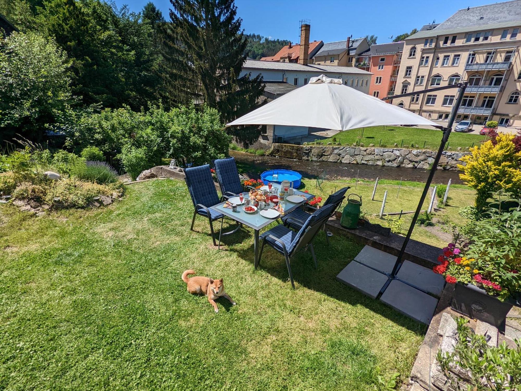 Hw3 - Urlaubsmagie - Helle, Grosse Wohnung Mit Pool Sebnitz Kültér fotó