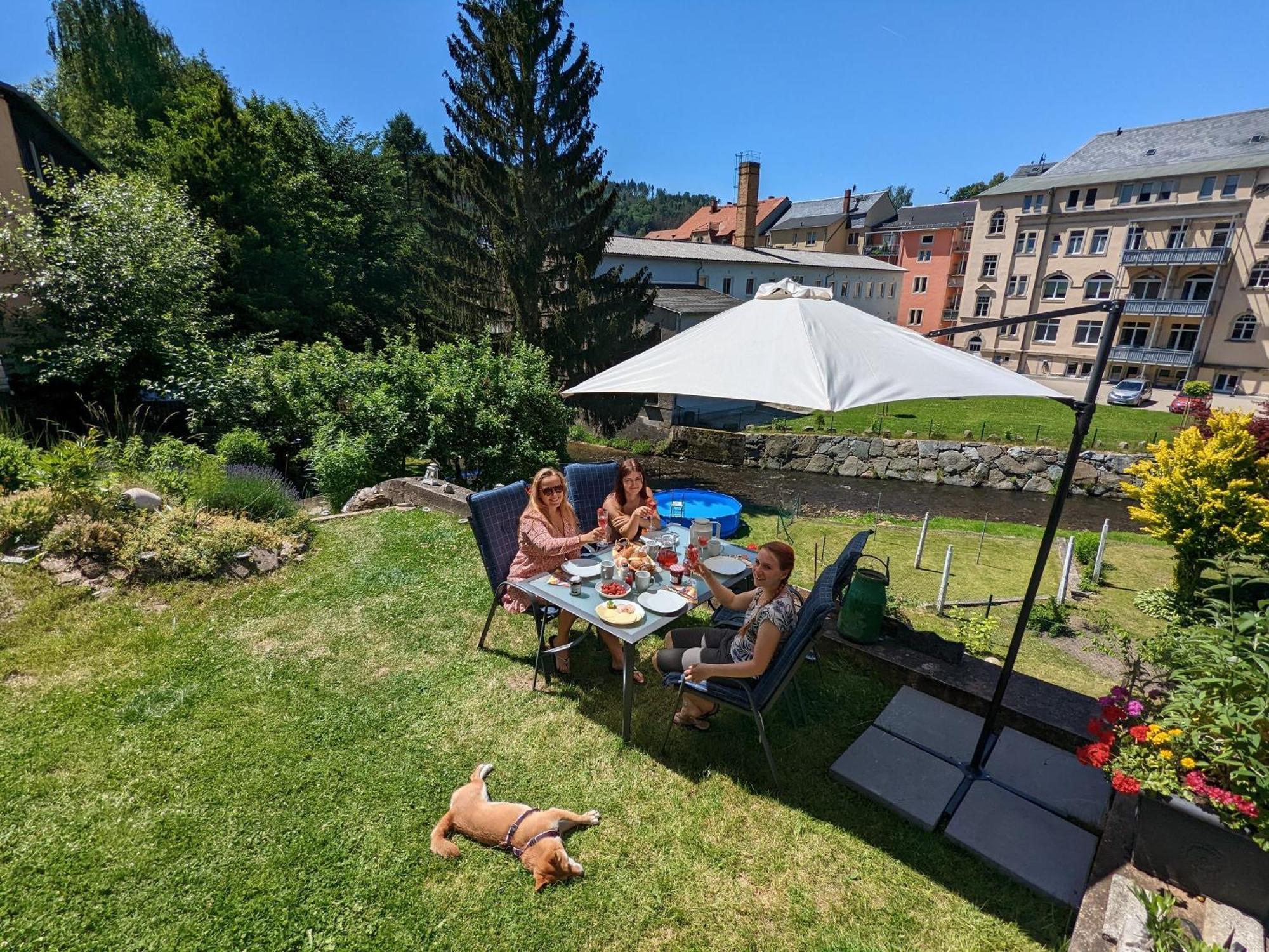 Hw3 - Urlaubsmagie - Helle, Grosse Wohnung Mit Pool Sebnitz Kültér fotó